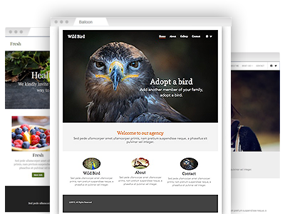 A variety of easy–to–customize website themes